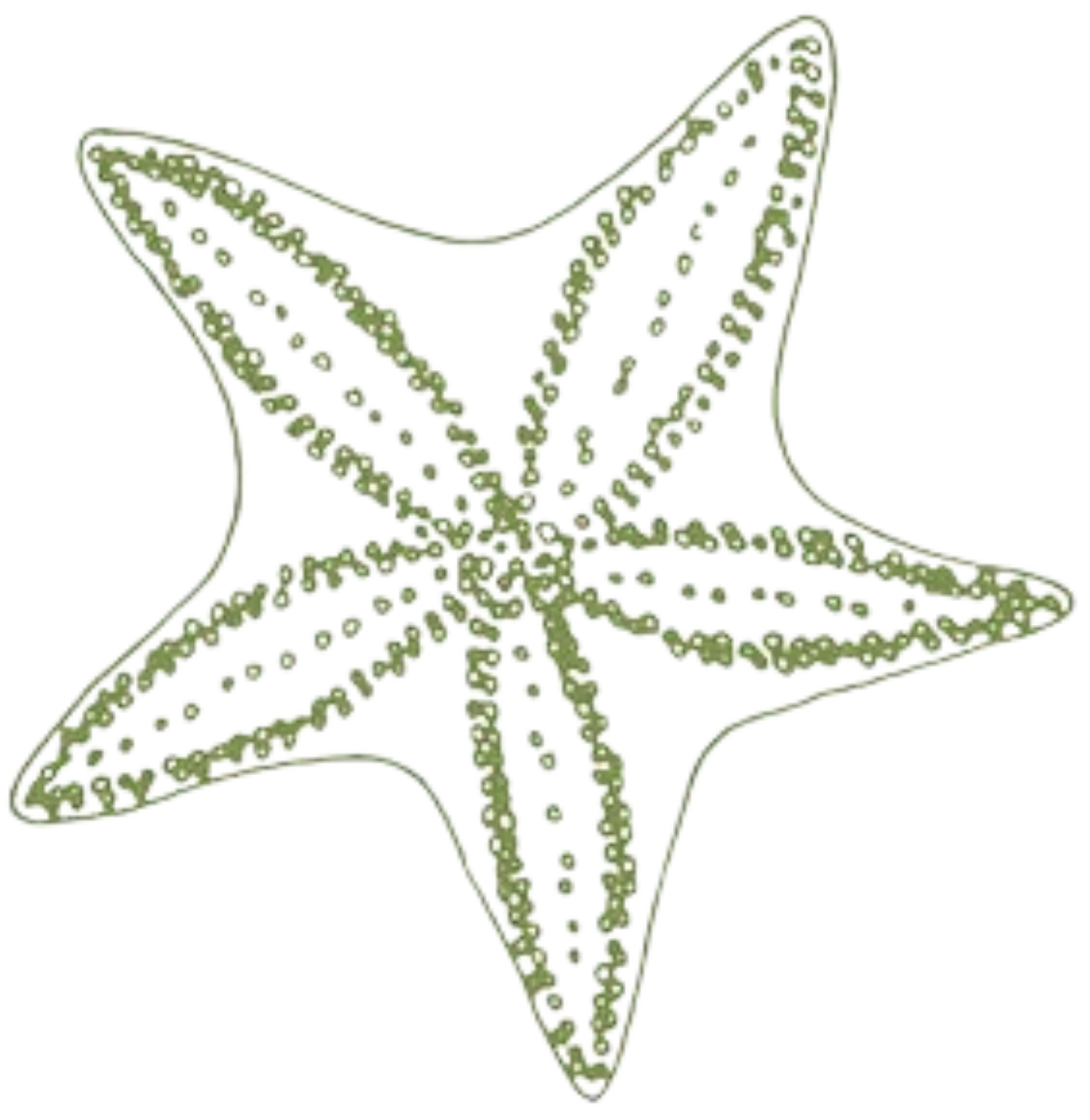 Estrella de mar